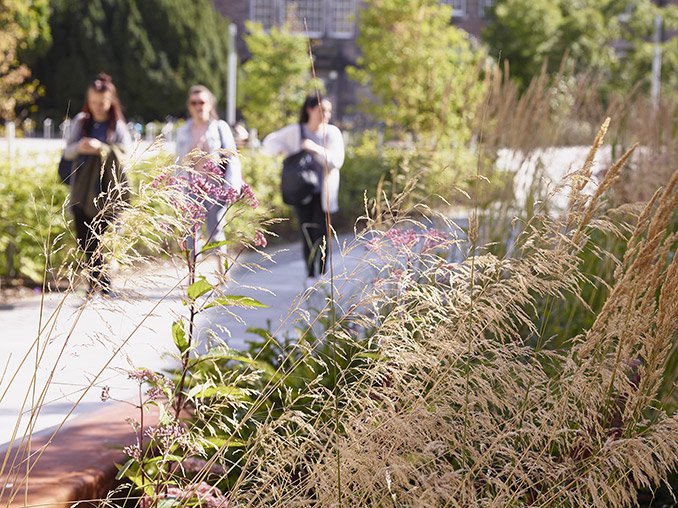 愛(ài)丁堡大學(xué):地方特色和歷史文化的碰撞