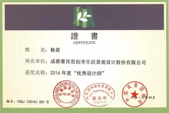 革故鼎新獲佳績 ,獨樹一幟引新潮