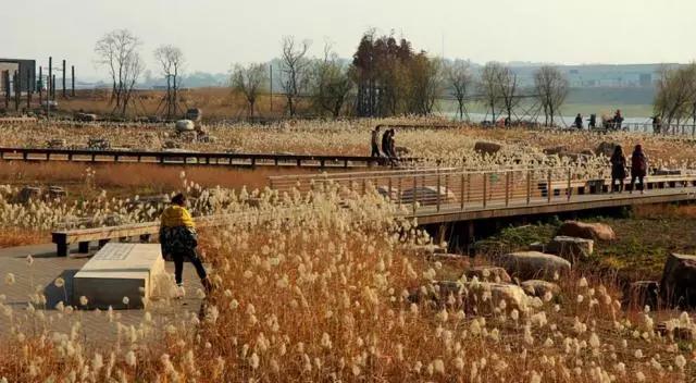 中國十佳生態(tài)景觀案例