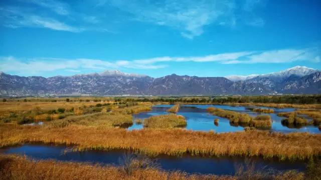 中國十佳生態景觀案例