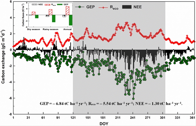 元江稀樹灌草叢生態系統碳交換研究的進展