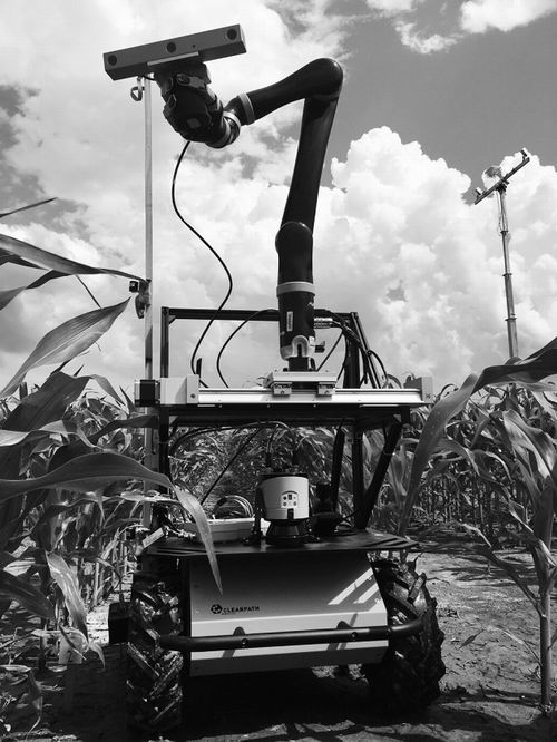 植物學家歡迎“鋼鐵俠”