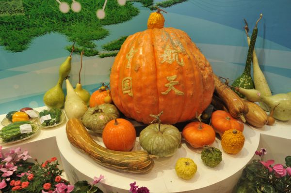 揭開航天育種的神秘面紗