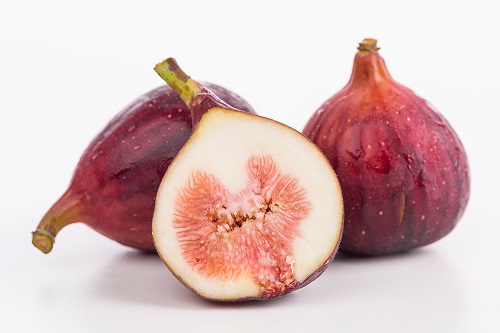 無(wú)花果很好吃 那么你知道無(wú)花果是怎么栽培嗎