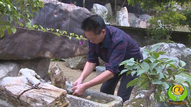 農(nóng)民藏石家將華安玉帶進(jìn)北京園林博覽會(huì)