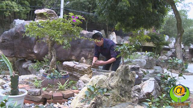 農(nóng)民藏石家將華安玉帶進(jìn)北京園林博覽會(huì)