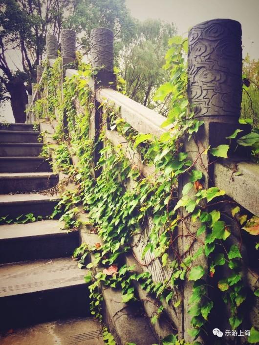 上海這個深藏不露的絕美園林免費開放10天