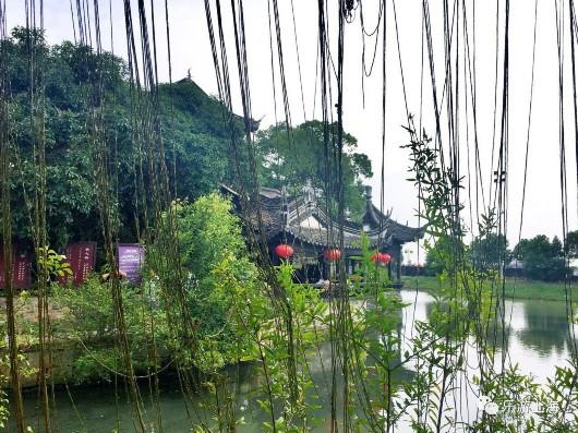 上海這個深藏不露的絕美園林免費開放10天