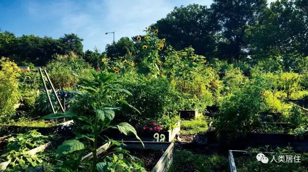 同濟大學景觀學系劉悅來老師談社區農園