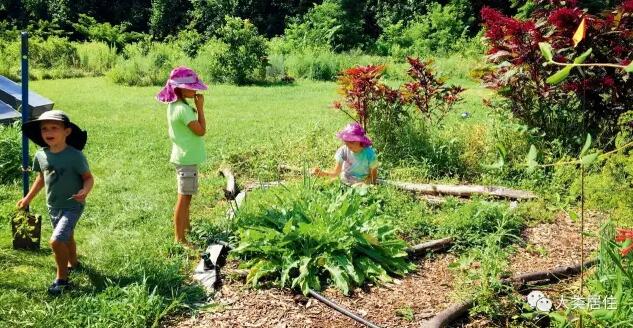 同濟大學景觀學系劉悅來老師談社區農園