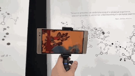 AR和VR技術(shù)在野生動植物的保護(hù)中的應(yīng)用