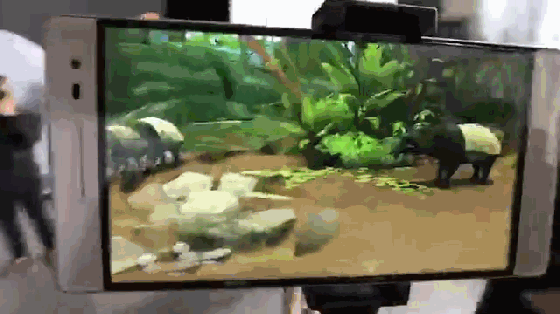 AR和VR技術(shù)在野生動植物的保護(hù)中的應(yīng)用