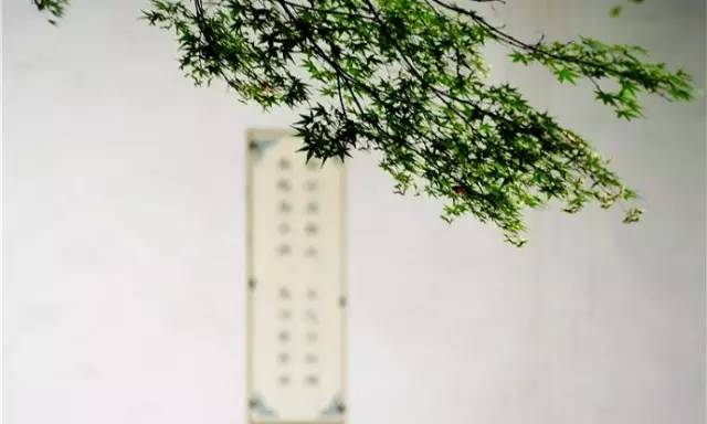 春天 茶席上的插花