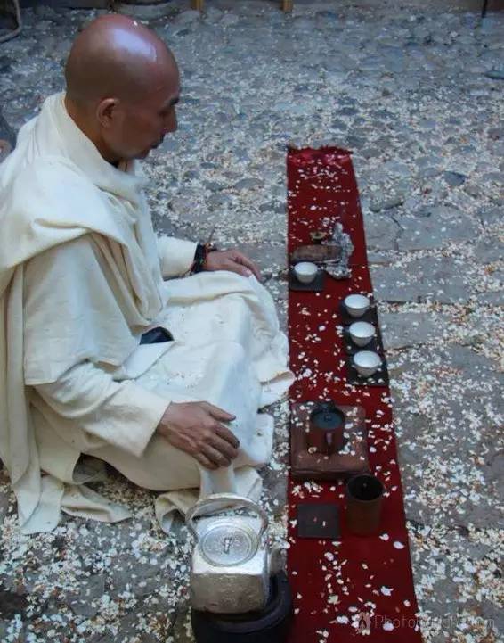 春天 茶席上的插花