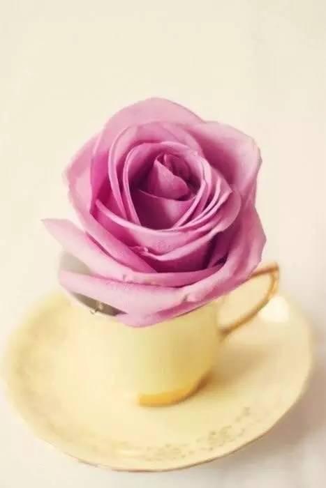 所有器具都能讓你的花藝很時髦