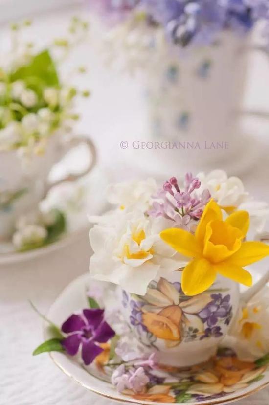 所有器具都能讓你的花藝很時髦