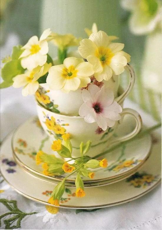 所有器具都能讓你的花藝很時髦