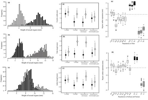 植物異型與同型花柱演化關系研究進展