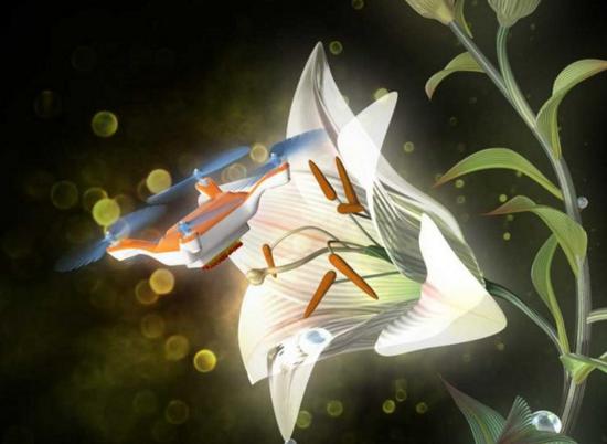 日本教授研究用無人機為植物授粉