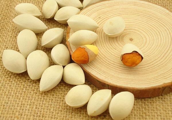 植物界的活化石也是餐桌上的美味