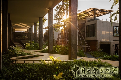 森林里的主題酒店--考艾度假酒店