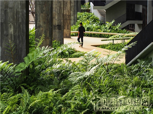 森林里的主題酒店--考艾度假酒店