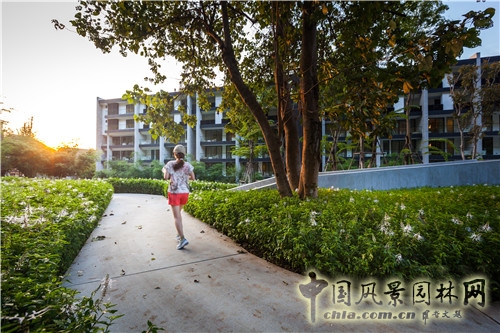 森林里的主題酒店--考艾度假酒店