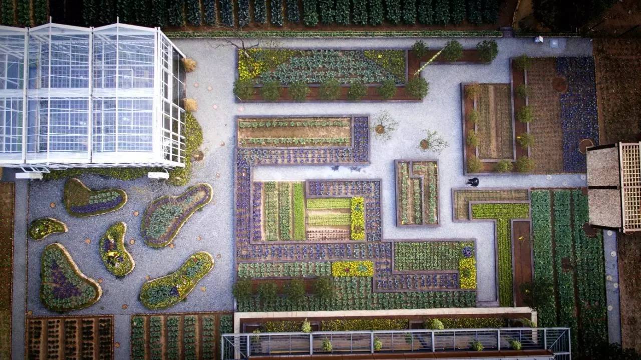 綠城宋衛平“理想小鎮”樣板農莊