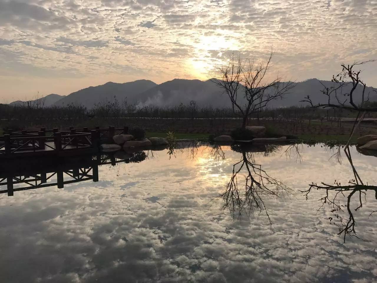 綠城宋衛平“理想小鎮”樣板農莊