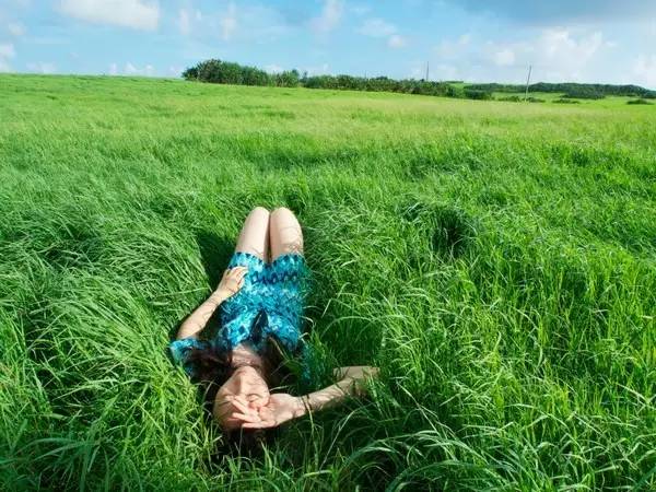 綠城宋衛平“理想小鎮”樣板農莊