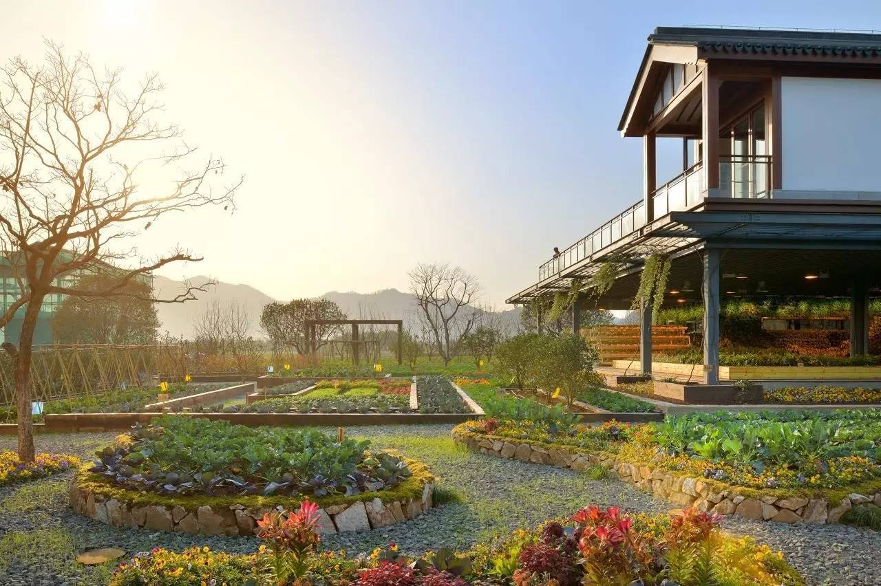 綠城宋衛平“理想小鎮”樣板農莊