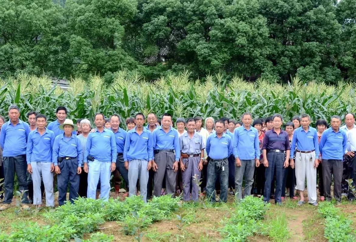 綠城宋衛平“理想小鎮”樣板農莊