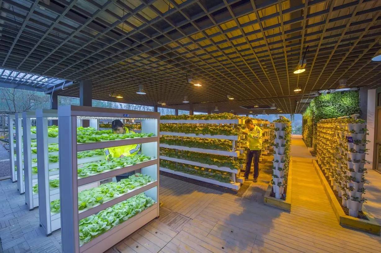 綠城宋衛平“理想小鎮”樣板農莊