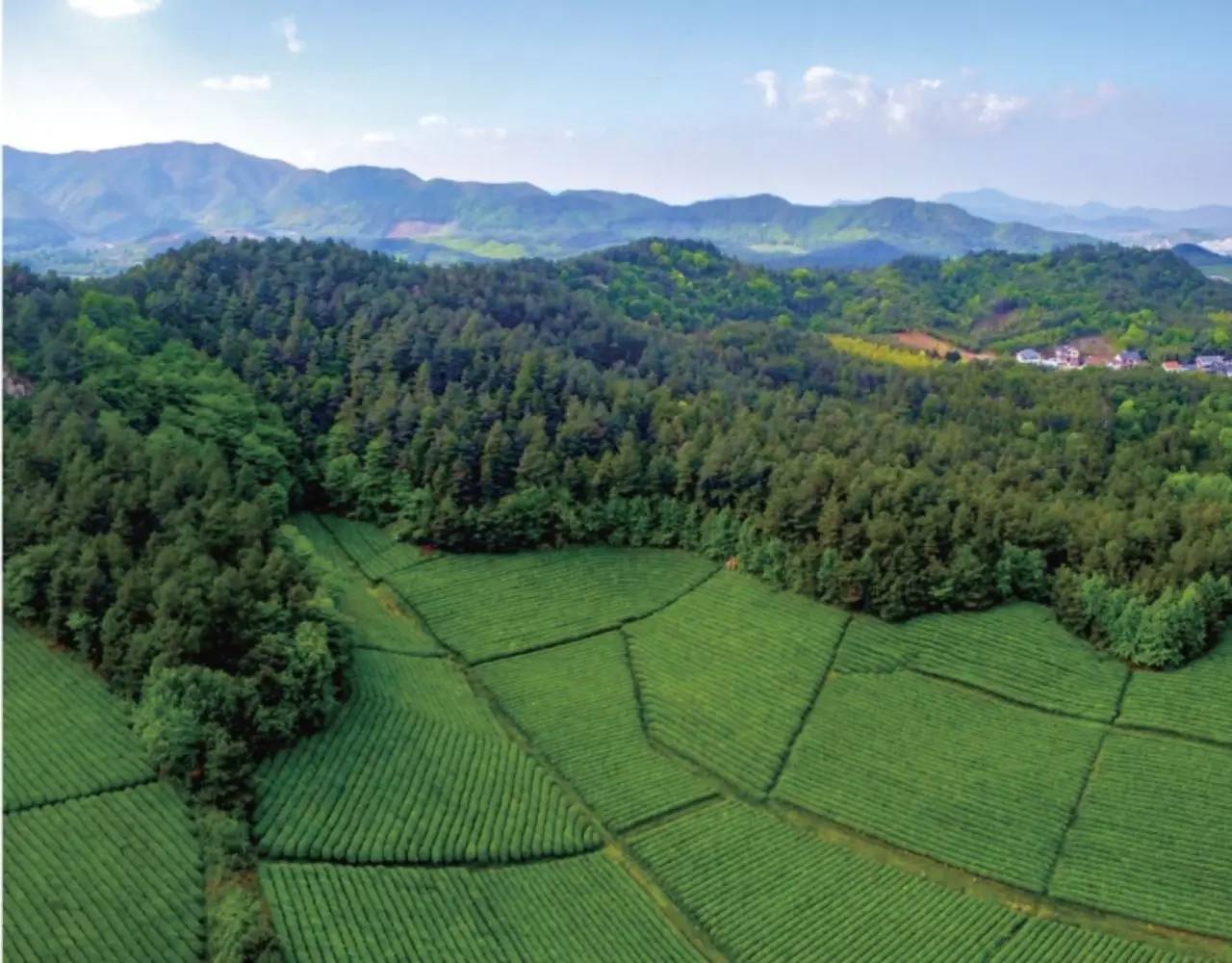 綠城宋衛平“理想小鎮”樣板農莊