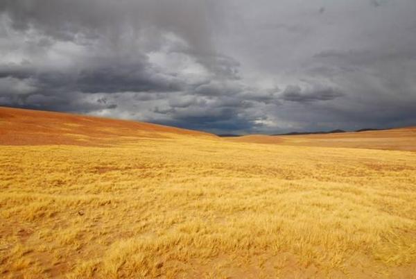 野生動(dòng)植物的天堂——羌塘