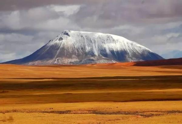 野生動(dòng)植物的天堂——羌塘