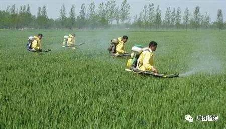 2017年全國(guó)植物保護(hù)工作要點(diǎn)