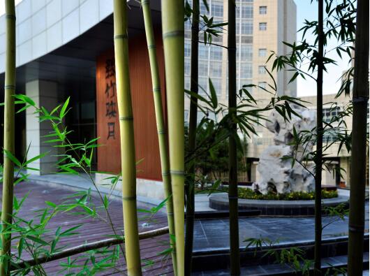 匠人匠心——傳統造園于現代園林的應用