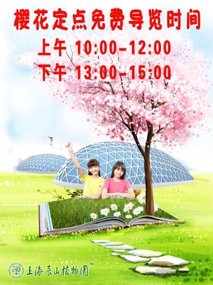 滬兩大植物園早櫻即將盛放