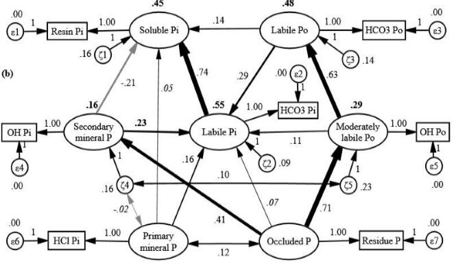森林土壤磷形態分級、轉化及調控研究獲進展