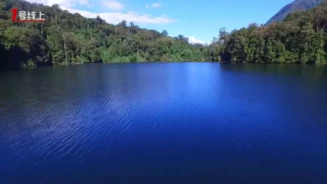 關注自然生境 保護瀕危植物資源