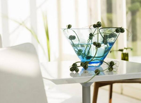 室內(nèi)花卉養(yǎng)護(hù)竅門