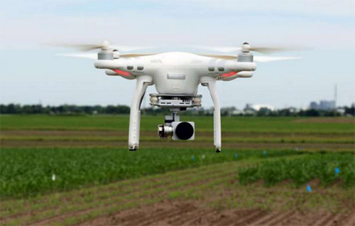 無人機開創新領域 受植物育種學家青睞