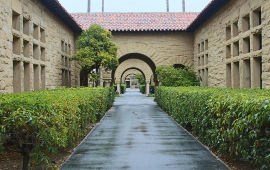 園林中不可或缺的存在——綠籬