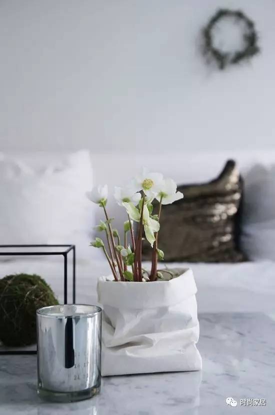 當植物碰到紙袋呈現想不到的效果