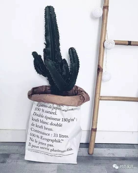 當植物碰到紙袋呈現想不到的效果