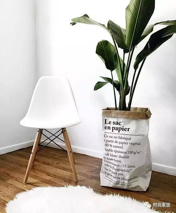 當植物碰到紙袋呈現想不到的效果