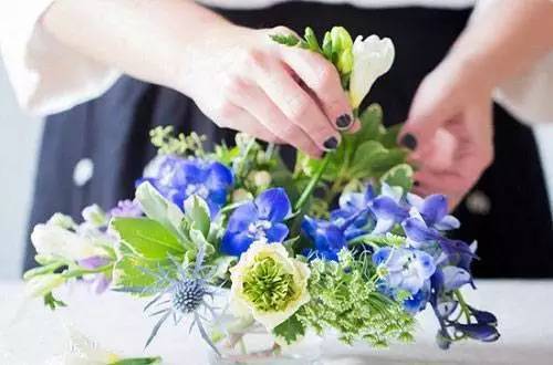 插花的色彩搭配做好了,你就成功了80%