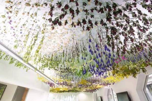 插花的色彩搭配做好了,你就成功了80%