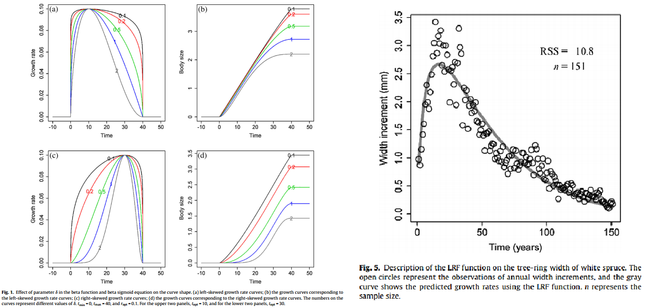 植物個體發育生長模型研究的進展